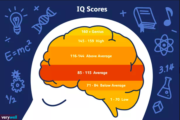 IQ được đánh giá như thế nào